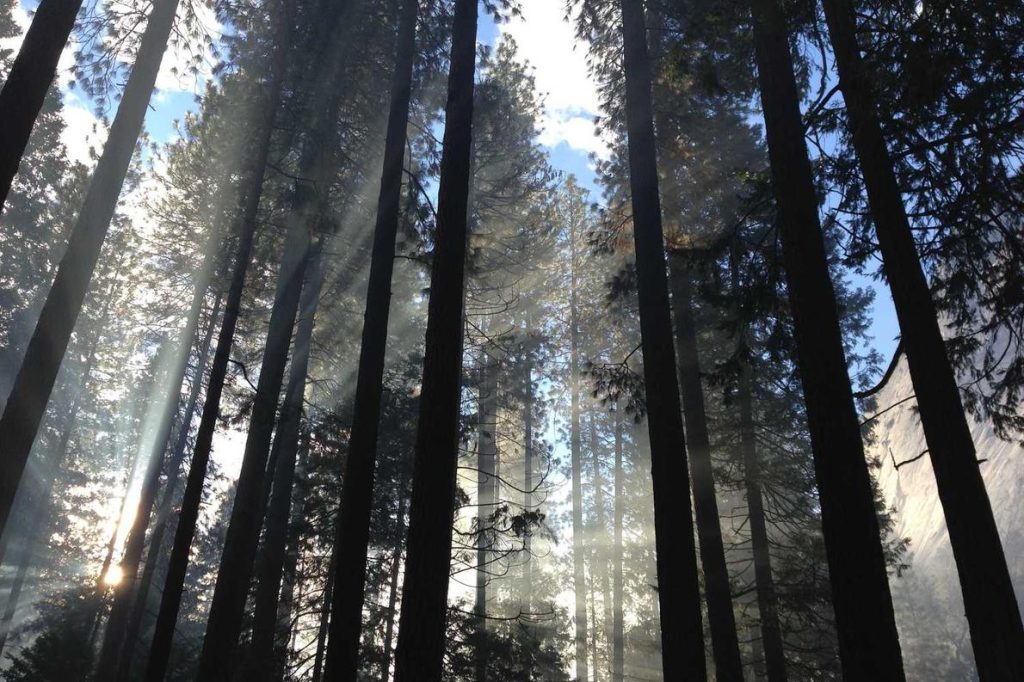 Quas nostrum qui iusto at recusandae fugit